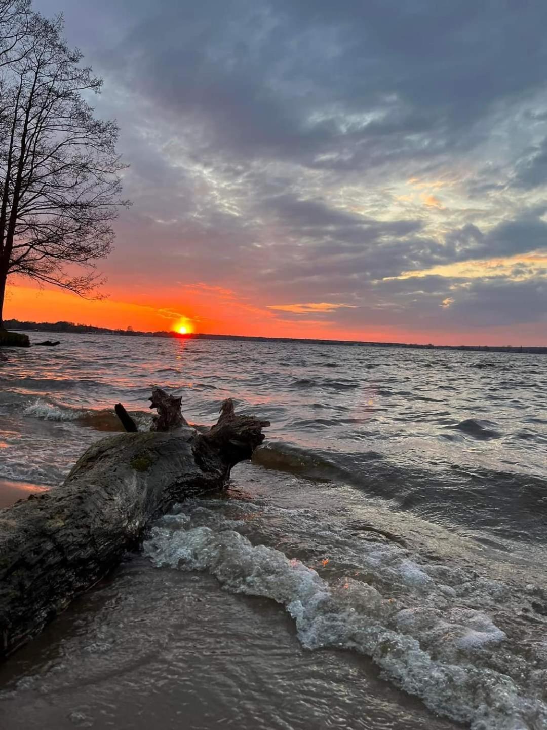 Domki Nad Zalewem Nieporęt 외부 사진
